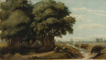 Caprocho (Olivos 13. Nov. 1858)